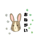 イラストうさぎの若（個別スタンプ：5）