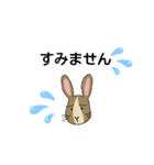 イラストうさぎの若（個別スタンプ：12）