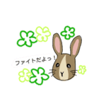 イラストうさぎの若（個別スタンプ：14）