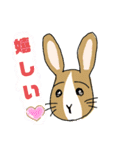 イラストうさぎの若（個別スタンプ：15）