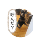 みんなが主役（個別スタンプ：6）