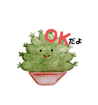ねこサボテンと観葉植物（個別スタンプ：1）