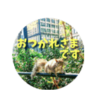 お洒落なニューヨークスタンプ<日本語版＞（個別スタンプ：7）