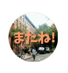 お洒落なニューヨークスタンプ<日本語版＞（個別スタンプ：11）