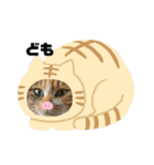私 かわいい（個別スタンプ：1）