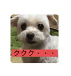 オレのこいぬ（個別スタンプ：7）