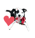 we love you Lucky girl（個別スタンプ：2）