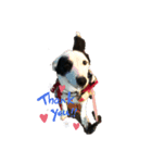 we love you Lucky girl（個別スタンプ：4）