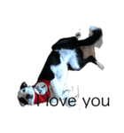 we love you Lucky girl（個別スタンプ：7）