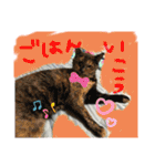 にゃんずファミリー（個別スタンプ：7）