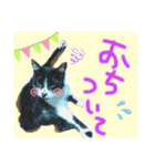 にゃんずファミリー（個別スタンプ：23）