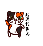 もすきーとこいる（日常編）（個別スタンプ：27）