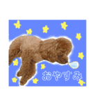 ぺこりん2（個別スタンプ：1）