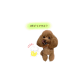 ぺこりん2（個別スタンプ：3）