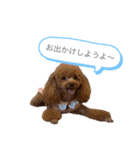 ぺこりん2（個別スタンプ：5）