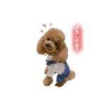 ぺこりん2（個別スタンプ：6）