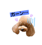 ぺこりん2（個別スタンプ：7）
