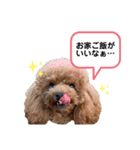 ぺこりん2（個別スタンプ：13）