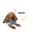 ぺこりん2（個別スタンプ：15）