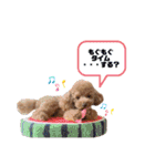 ぺこりん2（個別スタンプ：18）