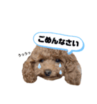 ぺこりん2（個別スタンプ：19）