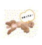 ぺこりん2（個別スタンプ：21）