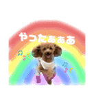 ぺこりん2（個別スタンプ：22）