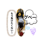 これでも21歳です（個別スタンプ：3）
