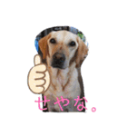 我家のアリス。（個別スタンプ：32）