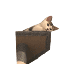 ひじき様の言う通り。（個別スタンプ：2）