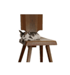 ひじき様の言う通り。（個別スタンプ：9）