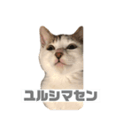 ひじき様の言う通り。（個別スタンプ：14）