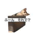 ひじき様の言う通り。（個別スタンプ：17）