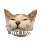 ひじき様の言う通り。（個別スタンプ：18）