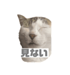 ひじき様の言う通り。（個別スタンプ：20）