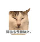 ひじき様の言う通り。（個別スタンプ：21）