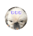 もふもふ姉弟+α（個別スタンプ：3）