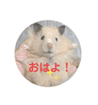 もふもふ姉弟+α（個別スタンプ：5）