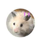 もふもふ姉弟+α（個別スタンプ：10）