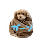 もこのスタンプ②（個別スタンプ：2）