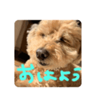 もこのスタンプ②（個別スタンプ：7）