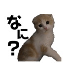 ビビとコアラの癒し猫♡（個別スタンプ：3）