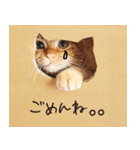 ネコのソル君による日常会話（個別スタンプ：4）