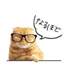 ネコのソル君による日常会話（個別スタンプ：5）