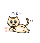 ゲーム大好きおねこさん（個別スタンプ：10）
