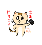 ゲーム大好きおねこさん（個別スタンプ：40）