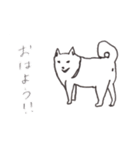 我が家のまめしば（個別スタンプ：1）