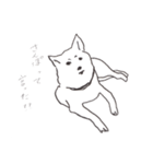 我が家のまめしば（個別スタンプ：5）