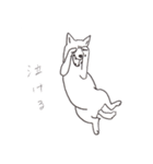 我が家のまめしば（個別スタンプ：12）