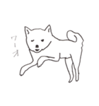 我が家のまめしば（個別スタンプ：16）